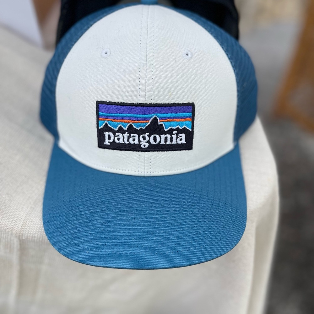 Patagonia Blue and White Cap
